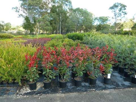 Photo: Natural Green Nursery